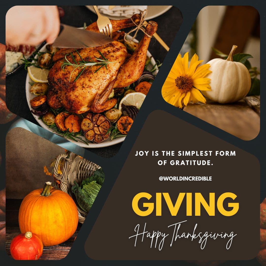 Cover Image for <strong>Thanksgiving 2022 Quotes | What is  Thanksgiving | How is Thanksgiving Celebrated</strong>